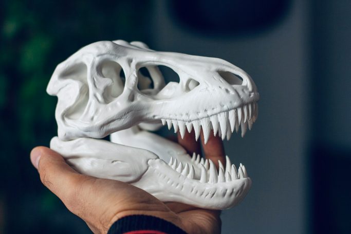 MAQUETAS REALISTAS
